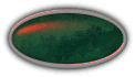 collection de bouton 04 - blank